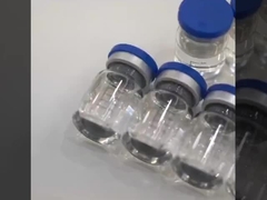 GS441524 고양이의 질병에 대한 수의학