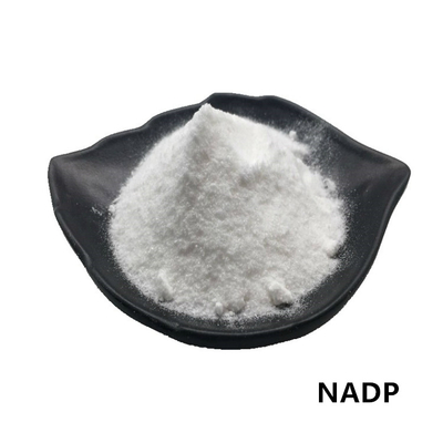 CAS 1184-16-3 NADP 파우더 99%  베타 니코틴아미드 아데닌 디뉴클레오티드 인산염