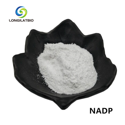 NADPH+ 파우더 베타 니코틴아마이드 아데닌 다이뉴클레오타이드 포스페이트
